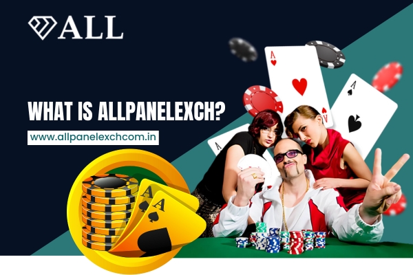 Overview of Allpanelexch online betting platform | Allpaneleexch