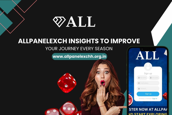 Allpanelexch Insights to Improve Your Journey Every Season